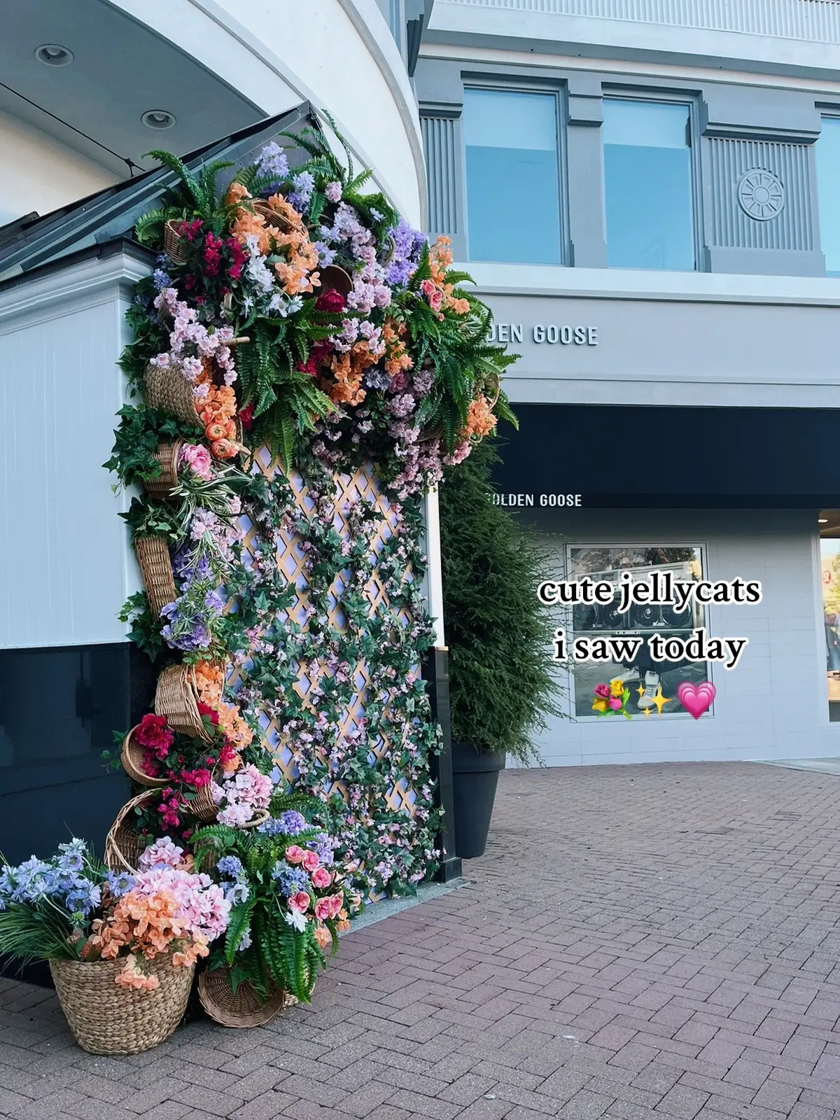 the cutest jellycats today! #jellycat #jellycats #shopping #shopwithme #haul #shoppinghaul #jellycatshopping #jellycatshopwithme #jellycathaul #mallshopping #fridayshopping #fridaymorning #morningshopping #shoppingtok #shoptok #fyp #foryou #foryoupage #fypage #fypシ゚viral #fypsounds #fypツ #jelly #jellycatcollection #jellycatshop #jellycattoys #collection #Summer #jellycatcollector 