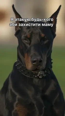 Можете глянути інші відео на сторінці та підписатися🥹♥️