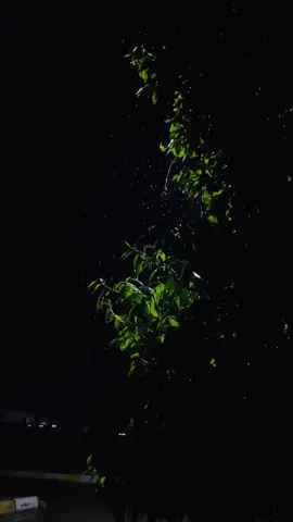 خليني بحالي وروح 💔 #تصميم_فيديوهات🎶🎤🎬 #تصويري #ديالى #العراق #مطر 