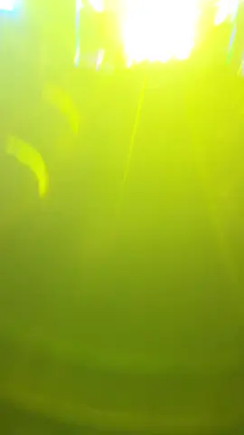 syila musik pekan raya lampung#syilamusic #bandarlampung #pkorwayhalim #lampungtiktok 