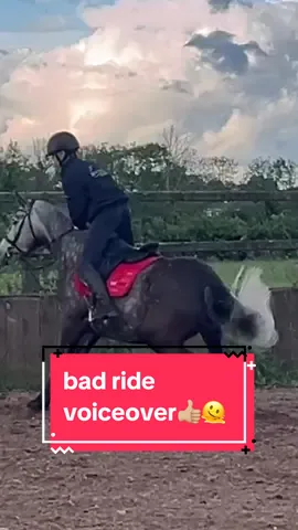 i am far too anxious of a human to own horses #equestrian #horsetok #equestrianvibes #equestrianlife #horseriding #horsetiktok #equine #horsesoftiktok #fyp 