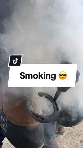 Check out this artists track @Ivan Ooze , so down for this at the moment! 🤙 #farrier #farriersoftiktok #hiphop 