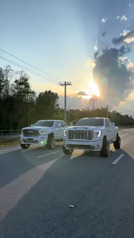 Oh did you think there was only one? #trucksoftiktok #viral 