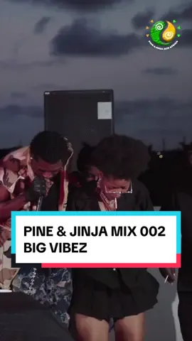 Still havn’t wateched #pinexjinjamix002 on Youtube Yet?? Click link in bio now 🍍🫚 #djmillzy #fypシ #tiktokghana🇬🇭 #djtransition #hambawenachallenge 