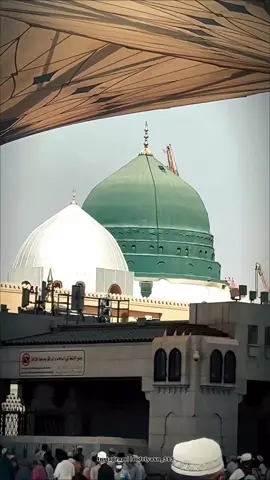 #یارسول_اللہؐ_تیرےدر_کی_فضاؤں_کو_سلام🕋🕋🕋🕋 #سبحان_الله_وبحمده_سبحان_الله_العظيم #madinah_sharif🕋🕋🕋 #یارسول_اللہؐ #fypシ❤️foryoupageシ🦋👑❤️naatsharifシ 