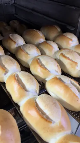 Pão fresquinho quentinho saindo do forno! 🥖 #pao #paofrances #paes #padaria #padeiro #padariasp #padarias #paozinho #assad #forno #bakery #bread #breadtok #cooking #foryou #cookingtiktok #viralvideo #fypage #fyyyyyyyyyyyyyyyy #foryoupage #fyyyyyyyyyyyyyyyyyyy 