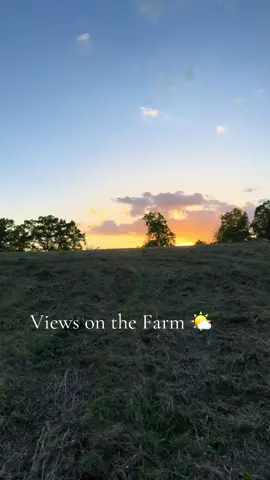 Always catch the best sunsets on our farm! 😌 #sunsets #farmview #farmlife #ohio 