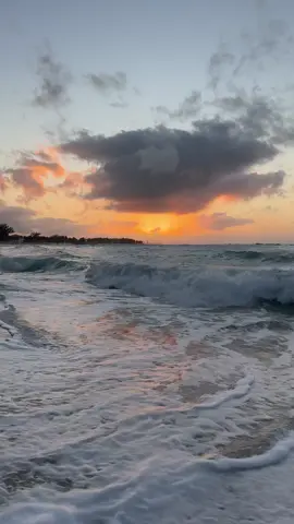 No music.. Waves only 🌊🏝️🐚🌅 #ocean #waves #oceanlife #travel #traveltiktok #travellife #travelbucketlist #fy #fyp #beach #beachwaves #beachvibes #relaxing #calming #sunset 
