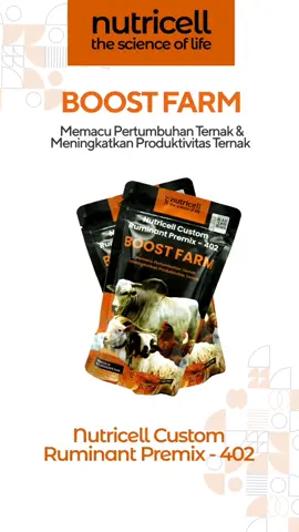 Nutricell merupakan aditif pakan ternak yang mengandung bahan yang berguna untuk memenuhi nutrisi  ternak🐄🐂🐏🐓🪿🦆🐟🦞🦐 #nutricell #boostfarm #peternakan #peternakansapi #peternakanayam #peternakayamindonesia #peternakandomba #ikan
