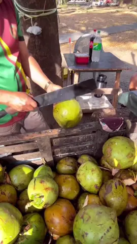 Boleh ke macam ni? 🤣🤣 #trending #trendingvideo #coconutsplashtrend #coconutsplash #trendingtiktok #sukasuka #followtrend #kluang #motorcycle #fyp #fypシ゚viral #fypage #fyppppppppppppppppppppppp 