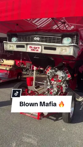 Blown Mafia isn’t messing around! 💪🏽 #sickcarsandtrucks #prostreet #supercharged #blowncars #blownmafia 