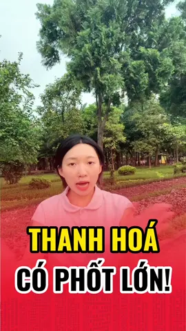 Thanh Hoá có Phốt lớn #huonggiang #datnengiare #datnen #hươnggiang #bds 