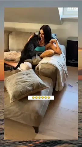 😂 #cat #cute #catvideo #cutcat #funny #pet #funnyvideo #kitty #foryou  #keşfetbeniöneçıkar 