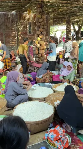 Tradisi begawe adat budaya sasaq lombok #lombok #tradisi #adat #begawe 