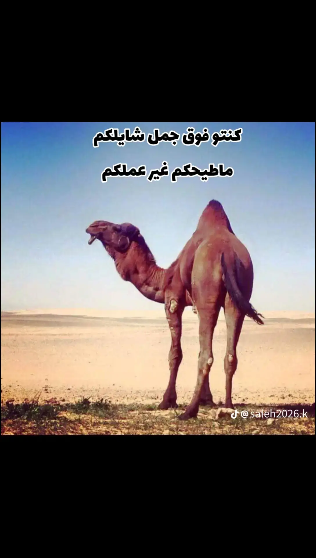 #الشعب_الصيني_ماله_حل😂😂 #الصابري_كورنيش_اخربيش_بنغازي #بنغازي_ليبياأ✂️🔥🇱🇾🔥🇱🇾🔥🇱🇾 