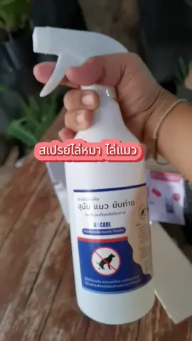 เหนื่อยมากๆน้องๆแมว ชอบไปฉี่ตามบริเวรพื้น ตามที่ อื่นๆ จนได้ใาเจอสเปรย์หยุดถ่ายไม่เป็นที่ ตอนนี้น้อง ขับถ่ายในกระบะทรายแล้วจร้า#ทาสหมา #เทรนด์วันนี้ #สเปรย์ไล่หมาแมว #กันหมานี่ #หมา #แมว #สัตว์เลี้ยง #ของดีบอกต่อ #สเปรย์ป้องกันอึฉี่สุนัข#สเปย์ดับกลิ่นสัตว์เลี้ยง#ทาสหมา #ฟิดดดシ #fyp#ติ๊กต๊อก #หมาชื่อสมคิด