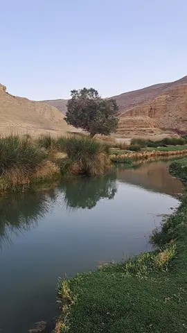 #الكرك  #الجنوب خـالـف الـحـظ عـمـري واسـتـثـار الـغـبـار