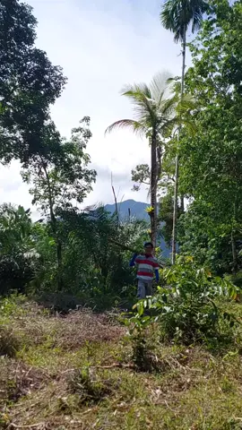 👉 MELANGKAH DENGAN BEKAL BERPIJAK DENGAN KEIMANAN. #hikmahsangpengembara #istiqomah #perjalanan #perjuangan #jangkauanluas #jangkauanluas #monetesisasureeal #sorotan #fypシ゚viral🖤video #fypシ゚viral #istiqomah #fypシ゚viral🖤 #fypシ゚viral🖤tiktok #fypシ゚viral🖤tiktok☆♡🦋 #alhamdulillah❤ #fypシ゚viral k🙏🏼🥰 #alhamdulillah🤲 #alhamdulillah🤲 #terimakasih #terimakasihtiktok🙏🏼🥰 