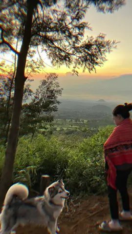 😎🫵🏻 #fyp #fypシ゚viral #pendakigunung #trending #pendakiindonesia #buthak_2868_mpdl #dogsoftiktok 