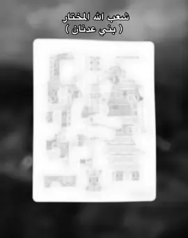 ( شعب الله المختار ) #fyp #foryou #fypシ゚viral #السعودية_العظمى #بني_هلال #سبيع #عتيبة #عدنان #السهول #هذيل #بني_أمية #الشعب_الصيني_ماله_حل😂😂 #اغوى_كويتيين🇰🇼 #tiktok #fyyyyyyyyyyyyyyyy 