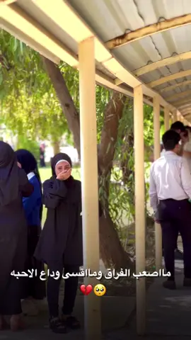 شلون جان وداعكم؟؟ #معهد_الدور_التقني #الوداع #تخرج #دموع #بكاء #طلاب_الجامعات #لايك__explore___ #كومنت #ترند #fyp 