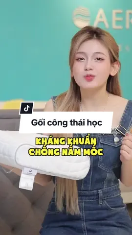 Bạn biết chưa: Gối công thái học #vuanemunbox #tiktokvietnam #kienthucthuvi @Nguyễn Đan Phương❤️ 