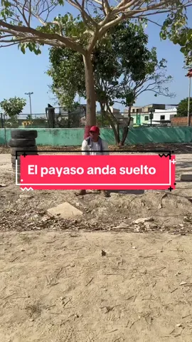 #viralvideo #viral #humor #colombia #viraltiktok #viralpage #funny #funnycats #mundo 