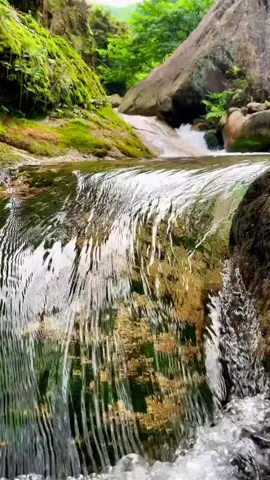 ✝️ TUHAN SELALU BESERTAKU ✝️ #lagurohani #laguviral #tuhan #musik #viral_video #fyp #fypシ゚viral #tuhanselalubesertaku 