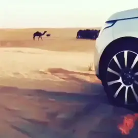 #العذب_خالد_المري #مجرد_ذووقツ 