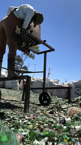 #fyp #parati #trabajo #ing #girlpower #chih #reciclaje #recicladora #vidrio #silice #mexico #silicerecicladora 