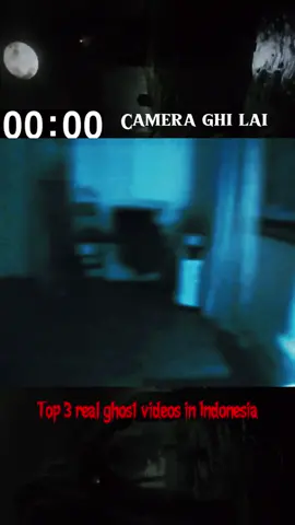 real ghost videos #ghost #pov #cctv #horror #scary #animal 