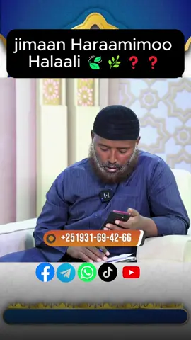 Jimaan Haraamimoo Halaali 🍃🌿❓ #ethiopian_tik_tok #muslims #ethiomuslims #afaanoromoo #oromotiktok @ahmedinjebelm99 @sheikh_mohammedhamidin  #