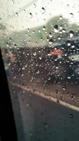 Background videos හොයන අයට . . . #background #backgroundvideo #srilanka #rain #video #foryou #foryoupage #fyp #trending #nature #rainmoment 