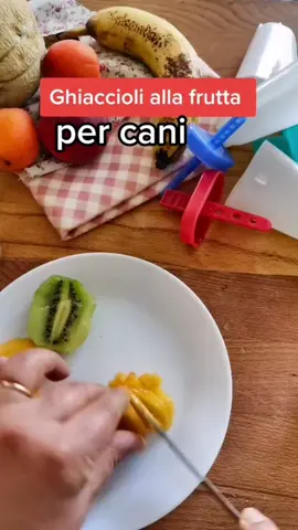 Apriamo ufficialmente la stagione dei gelati. Utilizza frutta di stagione o la preferita del tuo cane #ricettedacani #cani #gelato #estate #accadeoggi 