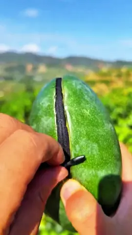 LOL😆skill?🥭😋#usa #fruit #asmr 