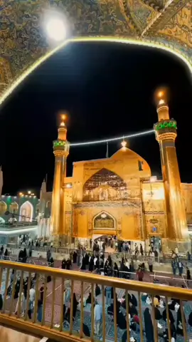 # السلام عليك سيدي ومولاي يا أمير المؤمنين / @أبو أحمد @أبو أحمد 