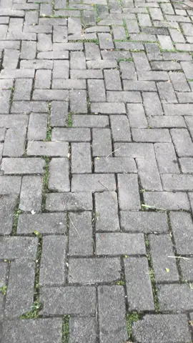 Wanna by yourss#fyp #beatesp #beatguakeche #beatproper #foryou #xybca 