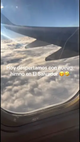 🤣🤣🤣