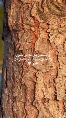 #🤍  #اكسبلور  #مشاهير  #مشاهير_تيك_توك  #حب  #ترند  #تصويري  #🌸  #مشاهير_تيك_توك_مشاهير_العرب  #لبنان  #دعمكم  #ترند_تيك_توك  #عراق  #سعوديه 