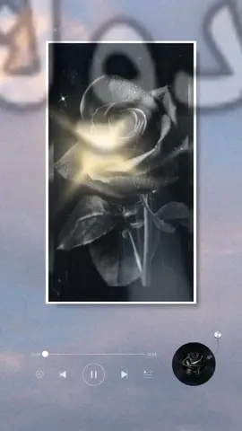 #الاناشيد الاسلاميه###الاناشيد 