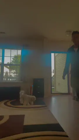 dance partner ?? #blowthisup #fyp #vibezwitjay #viral 