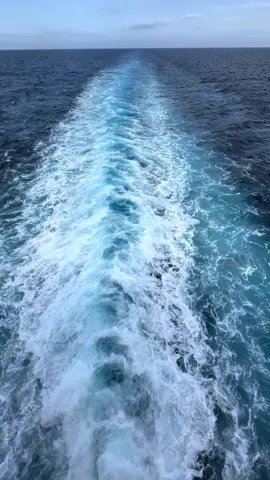 #seajob #atsea #travel #jobatsea #sea #aroundtheworld #crew #europe #videography 