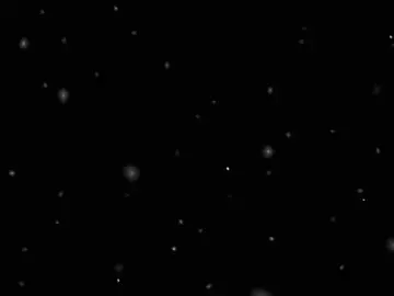 #foryou #viral #حلات_واتس #حسن_شاكوش #المنصوره #تصميم_فيديوهات🎶🎤🎬 #استوريات 