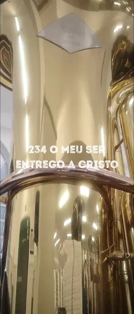 #234 O meu ser entrego a Cristo