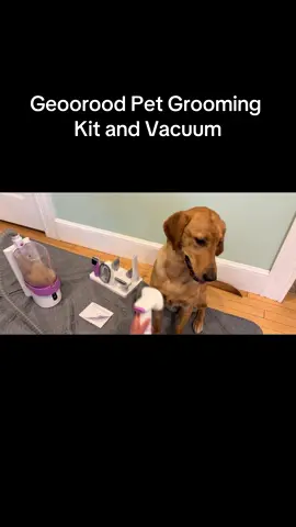 #@Geoorood pet #dogs #dogsoftiktok #geoorood #geooroodpetgroomongvacuum #georoodpetgroomingkit #fy #fypage #foryoupage #top #new #trend #trending #best #tiktok #dog #purchases 