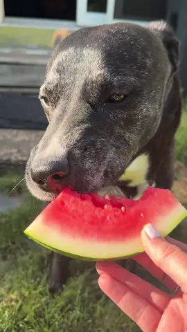 Watermelon ASMR #summertime ☀️🍉