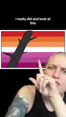 HAPPY PRIDE LETS GO LESBIANS #Pride #WLW #LESBIAN #FYP #pride2024 #Science #rocks #geology 