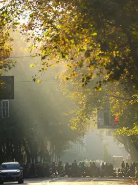 Sampai Akhir hidupku  #lyrics #worshipsong #lagurohanikristen #lagurohani #liriklagurohani #liriklagu #rohanikristen #christiantiktok #inspirasikristen #jesuslovesyou #fypkristen #fyp #fypage 