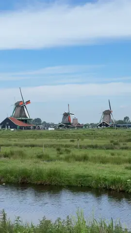 Cối xay gió Hà Lan 🇳🇱##halan##trave##fy##f##titok##nhac##deep