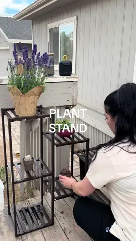 Anyone else a plant mom? Leave your succulent tips for me in the comments because I am a bit new to their kind 😂💚🪴🌵 #planttiktok #plantmom #outdoorplants #plantstand #tiktokshopfind #fyp #foryou 